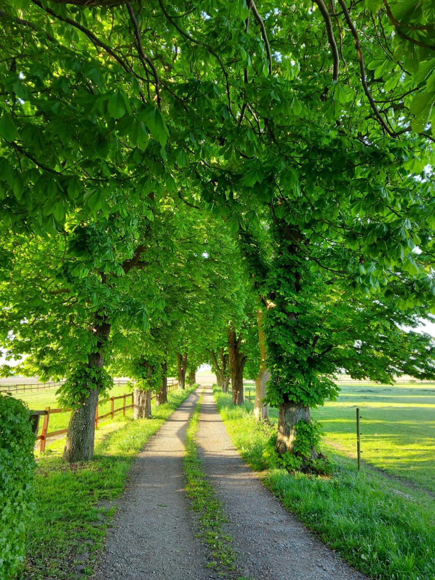 Lantligt Och Lugnt Boende Naera Natur Och Stad Svedala Extérieur photo