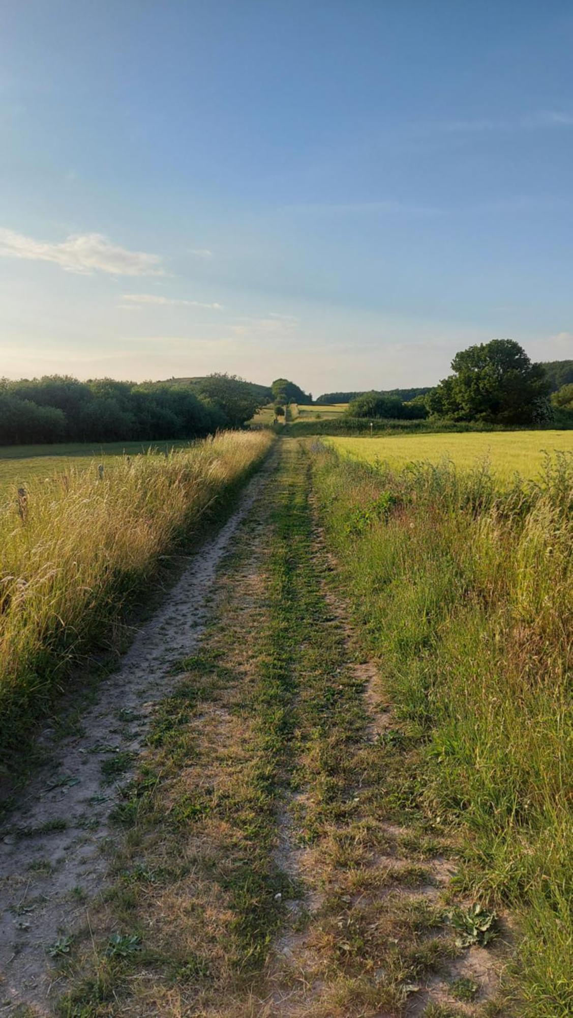 Lantligt Och Lugnt Boende Naera Natur Och Stad Svedala Extérieur photo