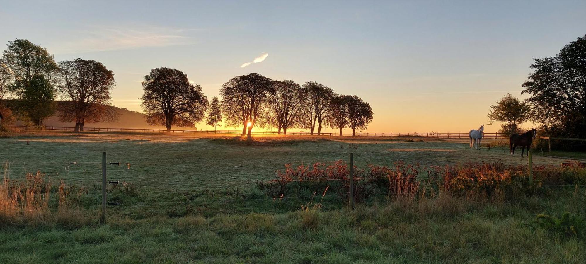 Lantligt Och Lugnt Boende Naera Natur Och Stad Svedala Extérieur photo