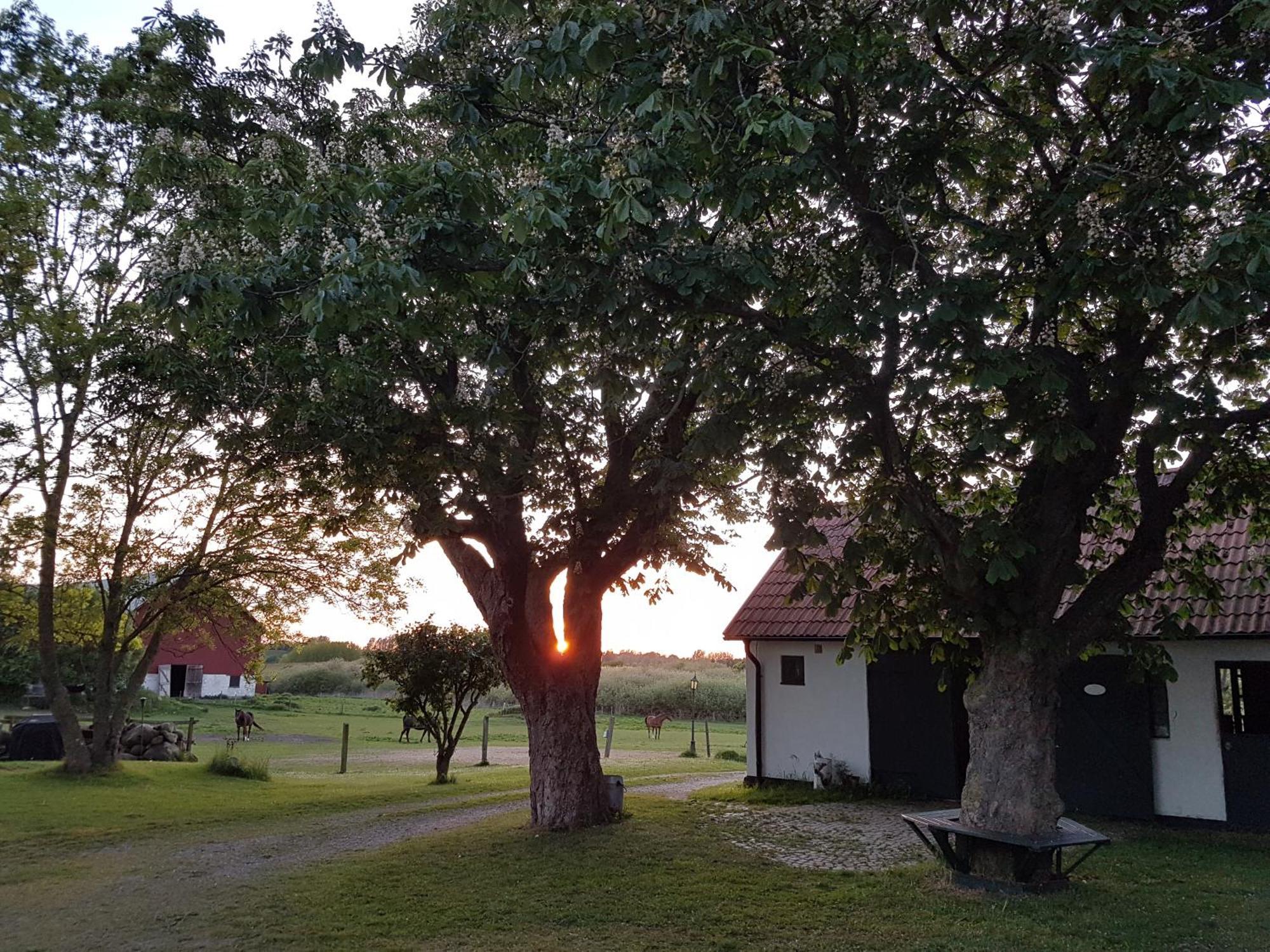 Lantligt Och Lugnt Boende Naera Natur Och Stad Svedala Extérieur photo