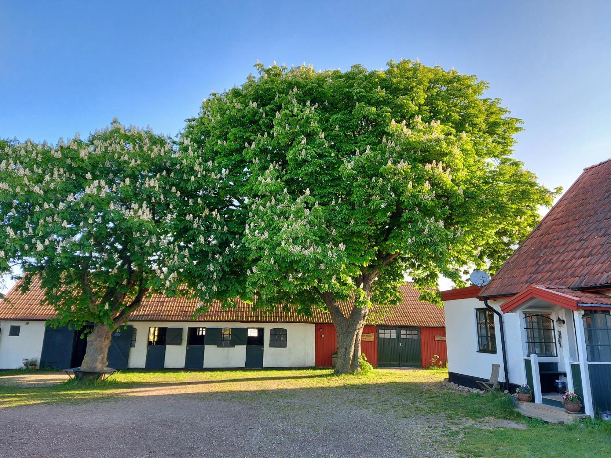 Lantligt Och Lugnt Boende Naera Natur Och Stad Svedala Extérieur photo