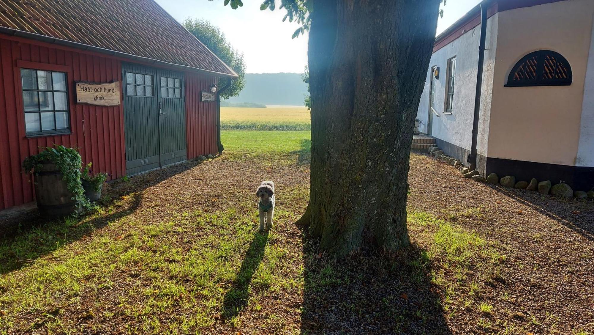 Lantligt Och Lugnt Boende Naera Natur Och Stad Svedala Extérieur photo