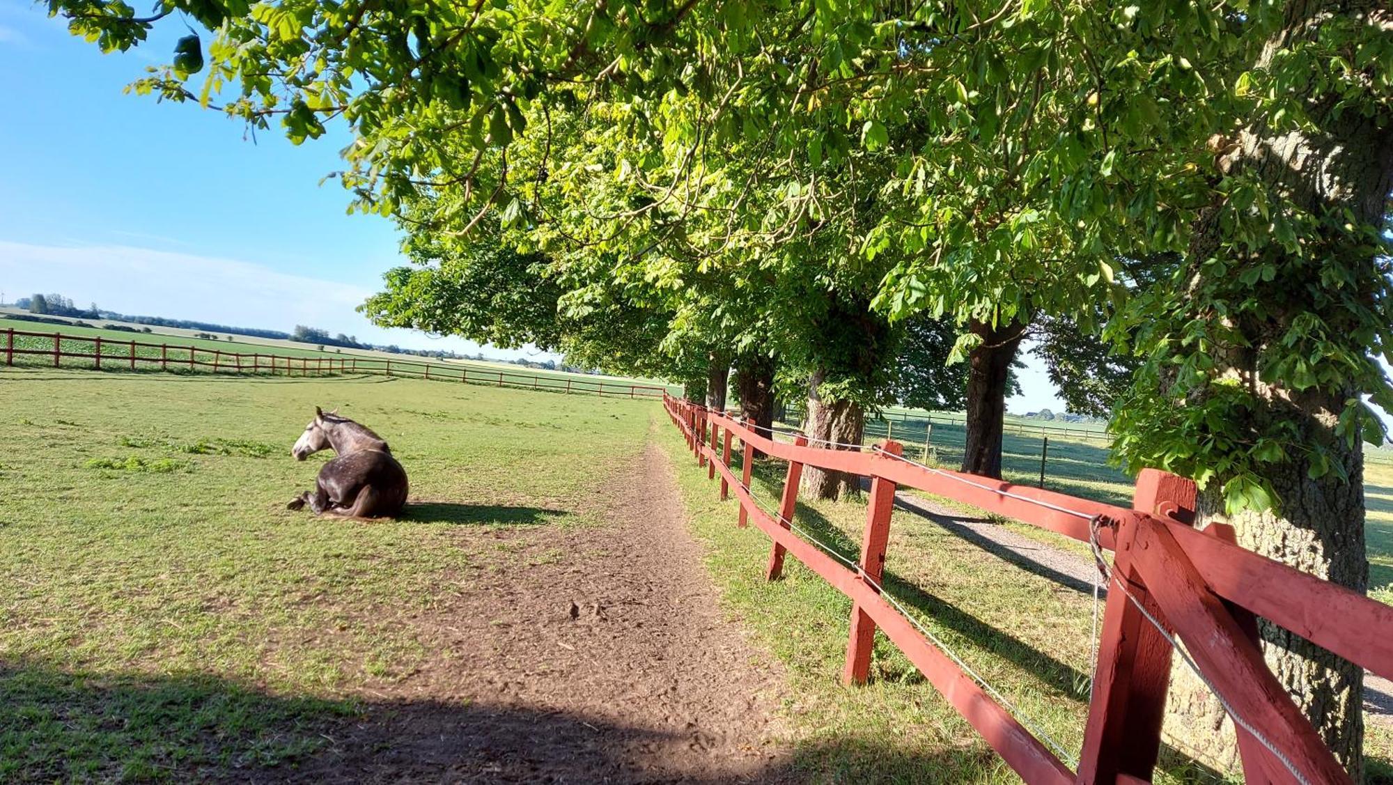 Lantligt Och Lugnt Boende Naera Natur Och Stad Svedala Extérieur photo