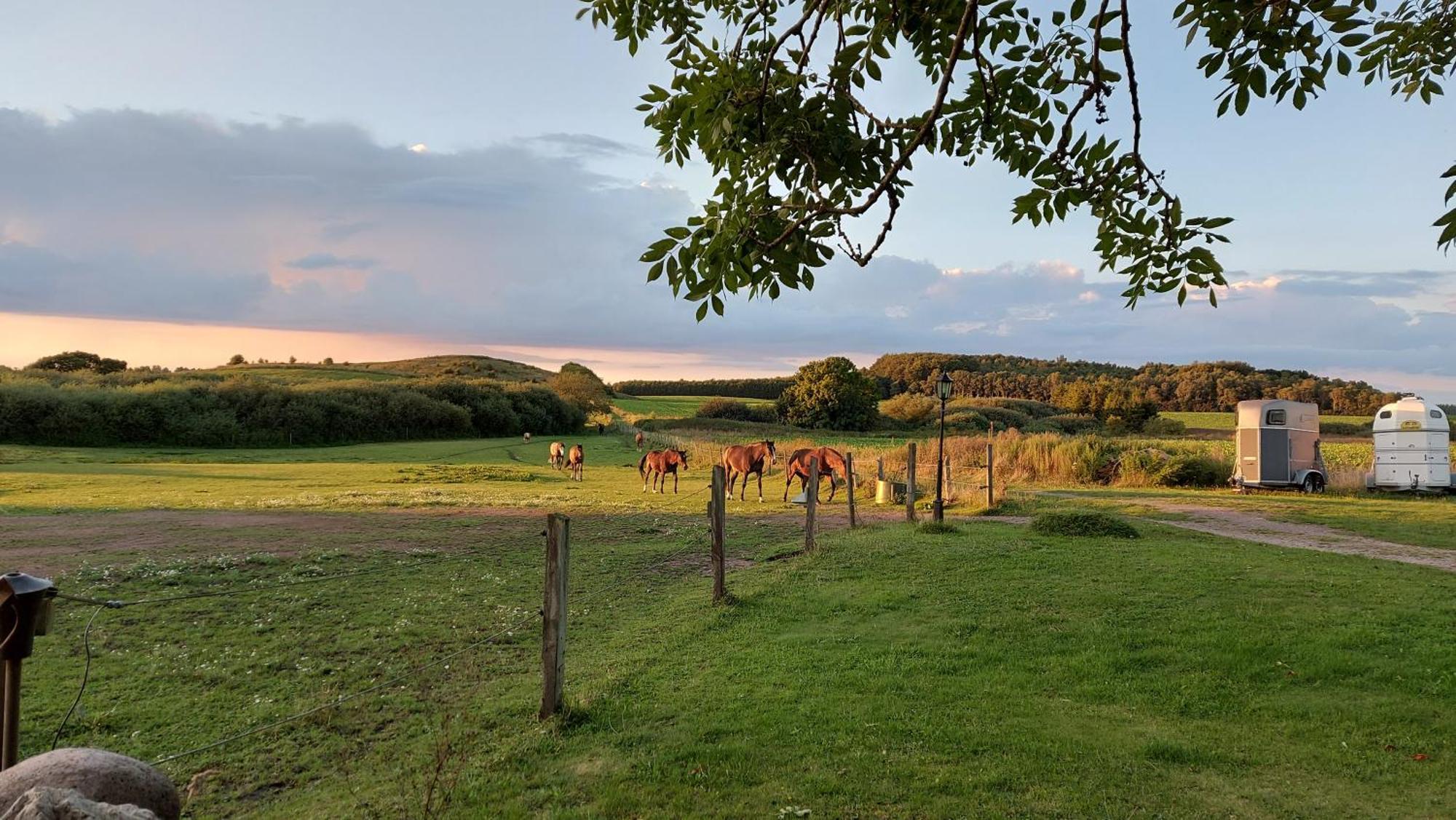 Lantligt Och Lugnt Boende Naera Natur Och Stad Svedala Extérieur photo