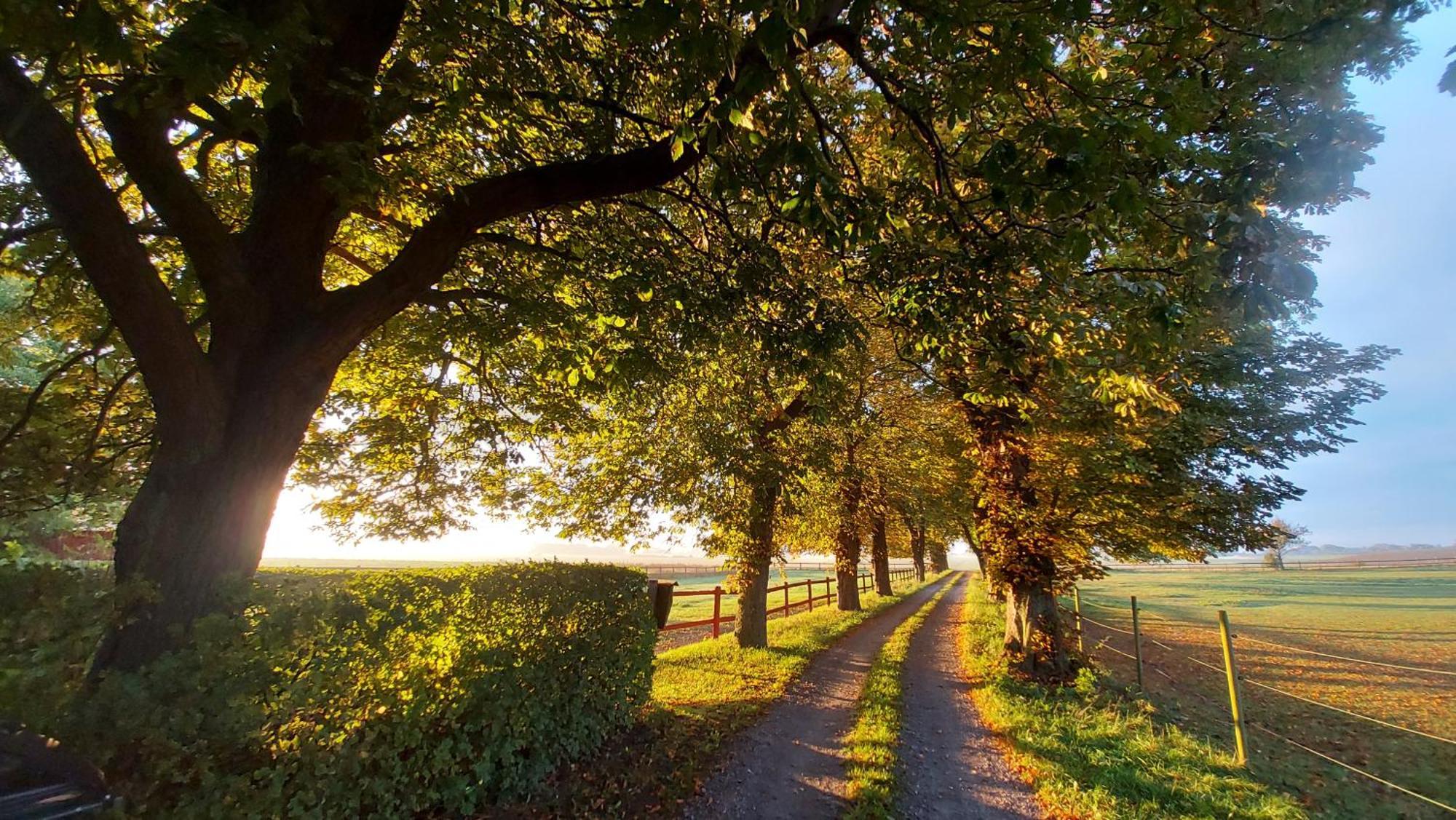 Lantligt Och Lugnt Boende Naera Natur Och Stad Svedala Extérieur photo